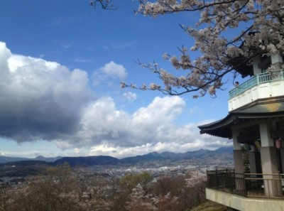展望台と桜と富士山（天気…）